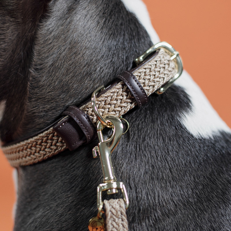 Collier nylon tressé chien Kentucky