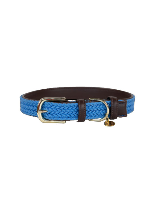 Collier nylon tressé chien Kentucky