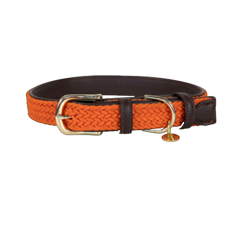 Collier nylon tressé chien Kentucky