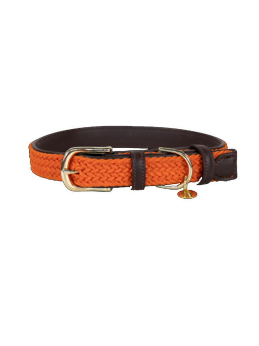 Collier nylon tressé chien Kentucky