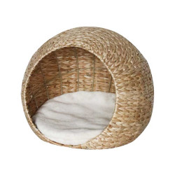 Igloo Lasa Nobby