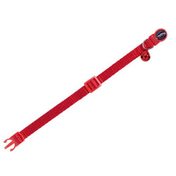 Collier pour chat Nobby