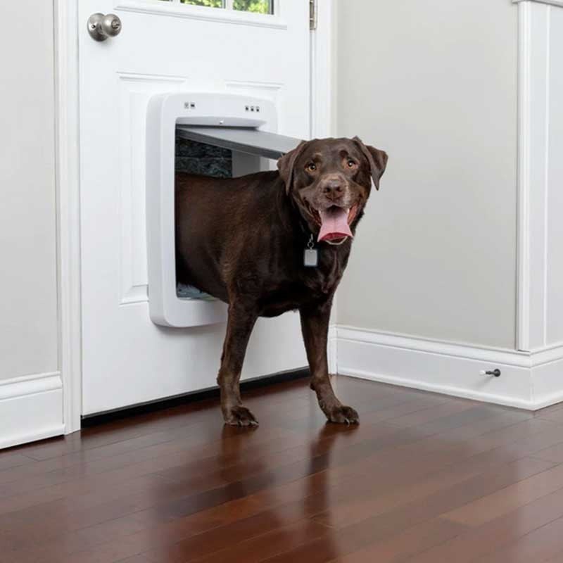 Porte connectée SmartDoor Petsafe