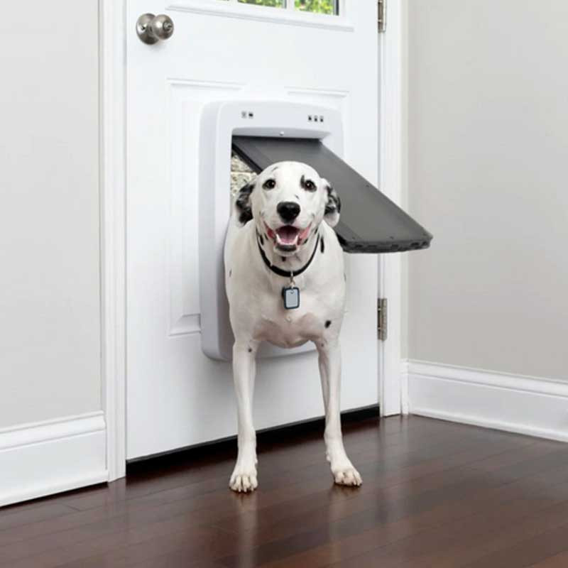 Porte connectée SmartDoor Petsafe