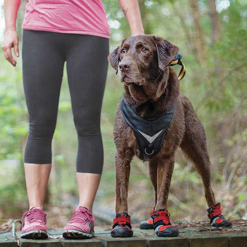 Chaussures pour chien Blaze Kurgo