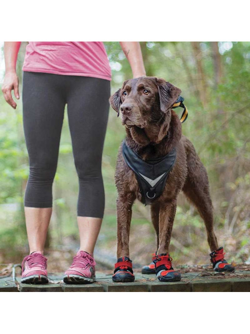 Chaussures pour chien Blaze Kurgo