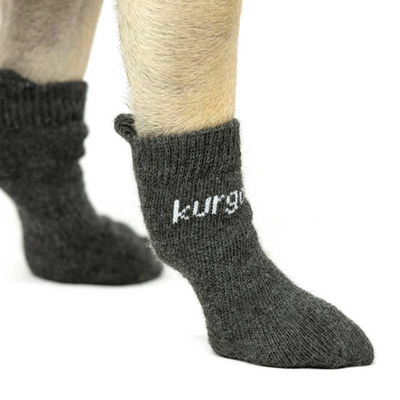 Lot de 4 chaussettes Blaze Kurgo