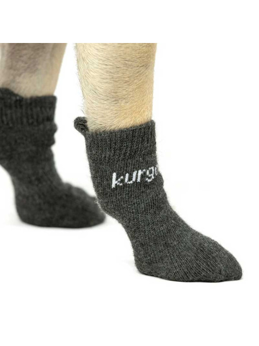 Lot de 4 chaussettes Blaze Kurgo