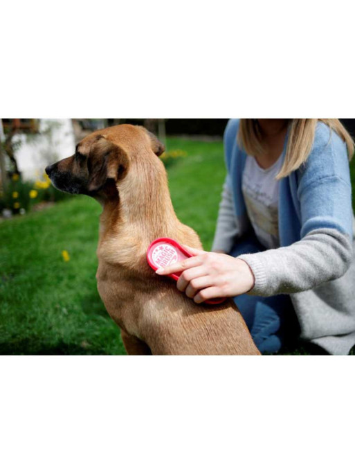 Brosse MagicBrush chien Kerbl Brosse MagicBrush chien Kerbl