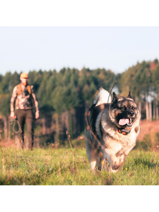 Collier de repérage et d'éducation canine TT25™ Garmin ambiance