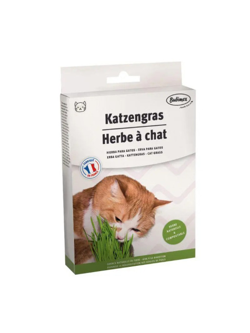 Herbe à chat à brocher 100g Bubimex