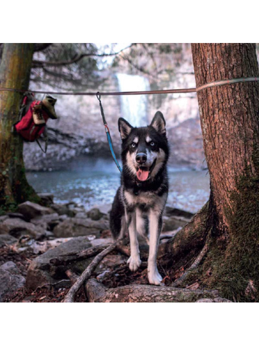 Kit d'attache de voyage chien Kurgo