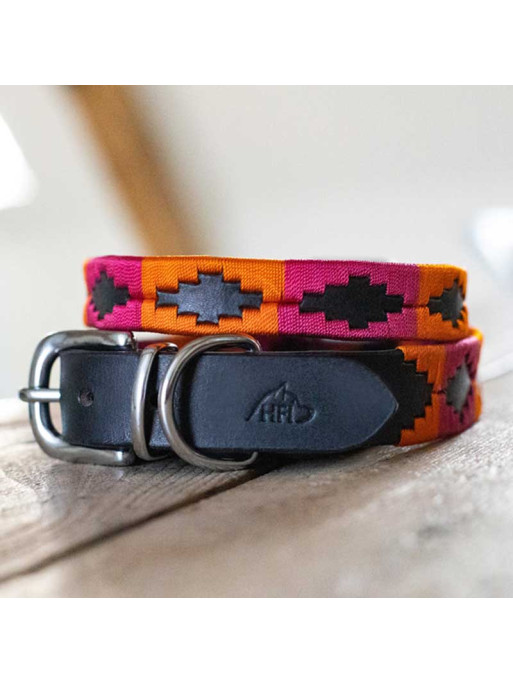 Collier pour chien Polo HFI