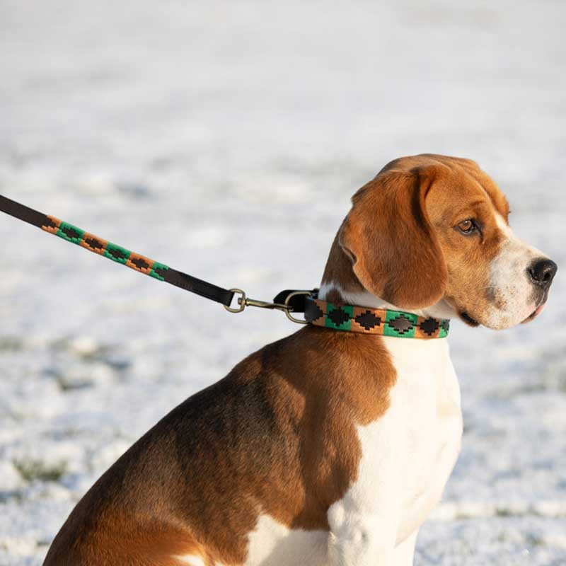 Laisse pour chien Polo HFI