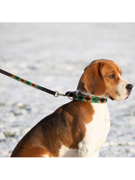 Laisse pour chien Polo HFI