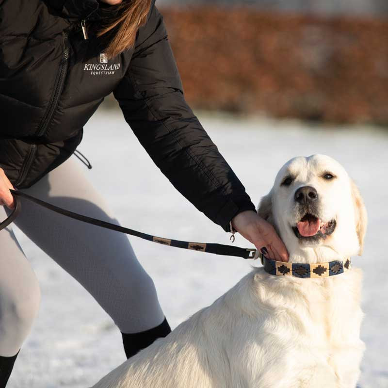 Laisse pour chien Polo HFI