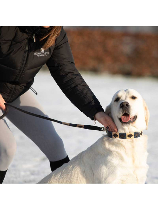 Laisse pour chien Polo HFI