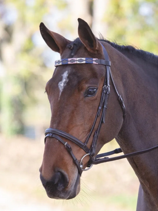 Frontal en cuir Polo