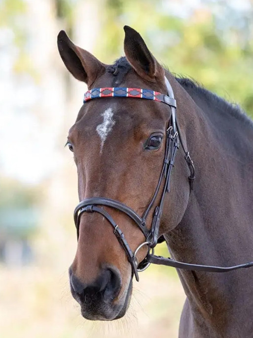 Frontal en cuir Polo
