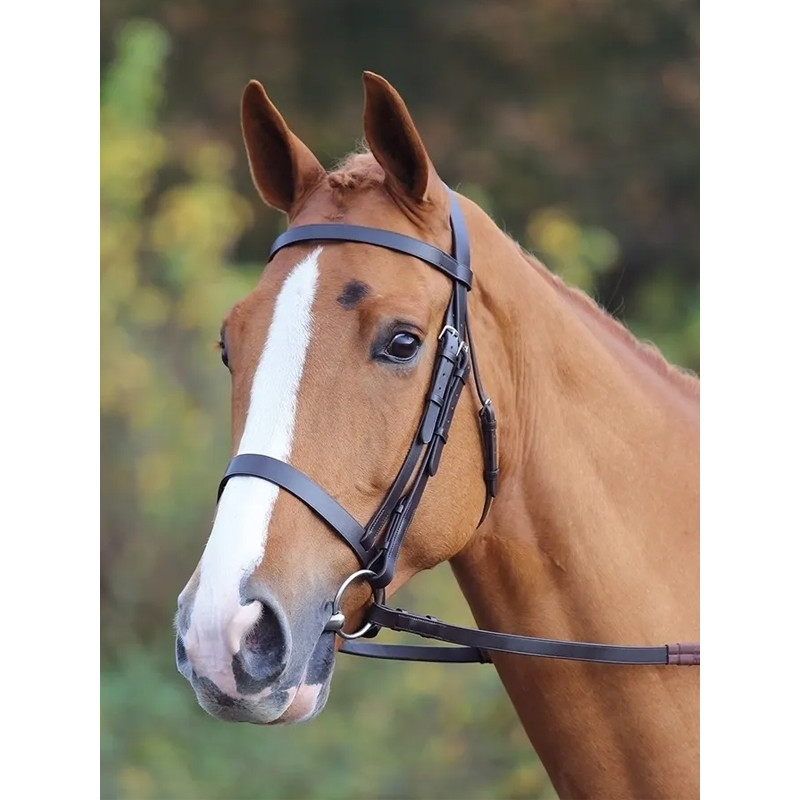 Bridon cuir plat Gara 