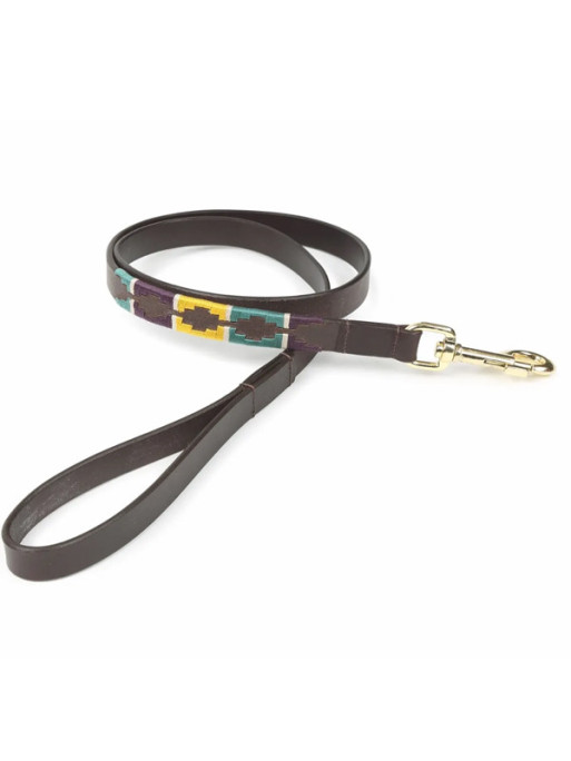 Laisse pour chien Digby & Fox Laisse pour chien Digby & Fox