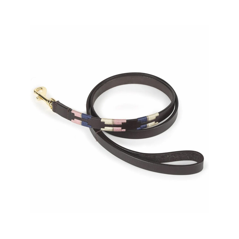 Laisse pour chien Digby & Fox