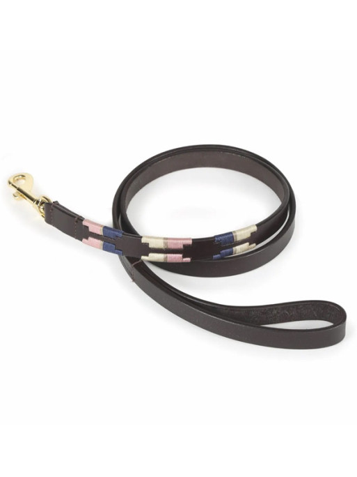 Laisse pour chien Digby & Fox