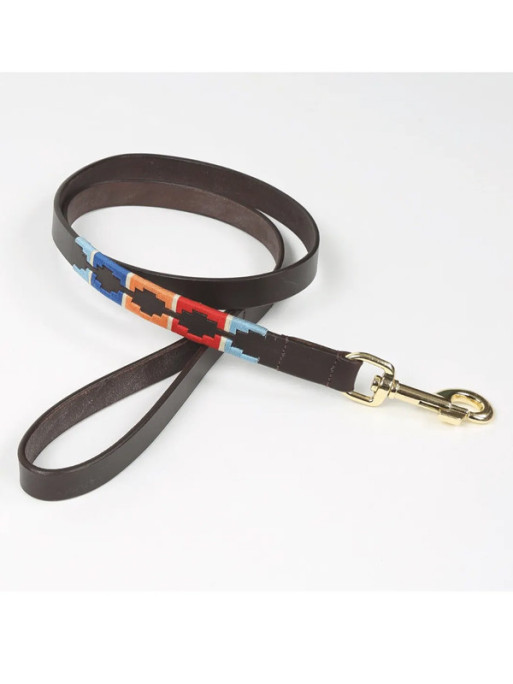 Laisse pour chien Digby & Fox