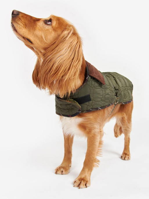 Manteau matelassé pour chien Dog Bone Barbour