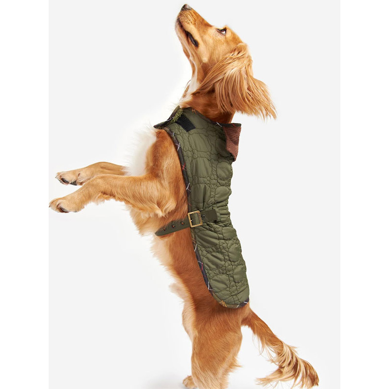 Manteau matelassé pour chien Dog Bone Barbour