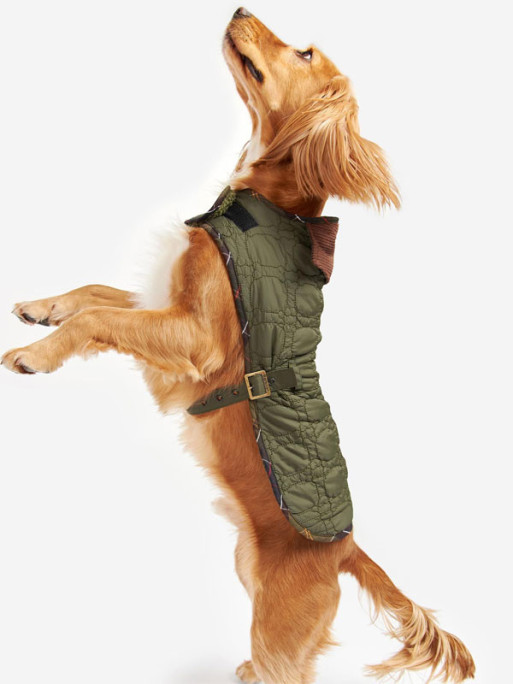 Manteau matelassé pour chien Dog Bone Barbour