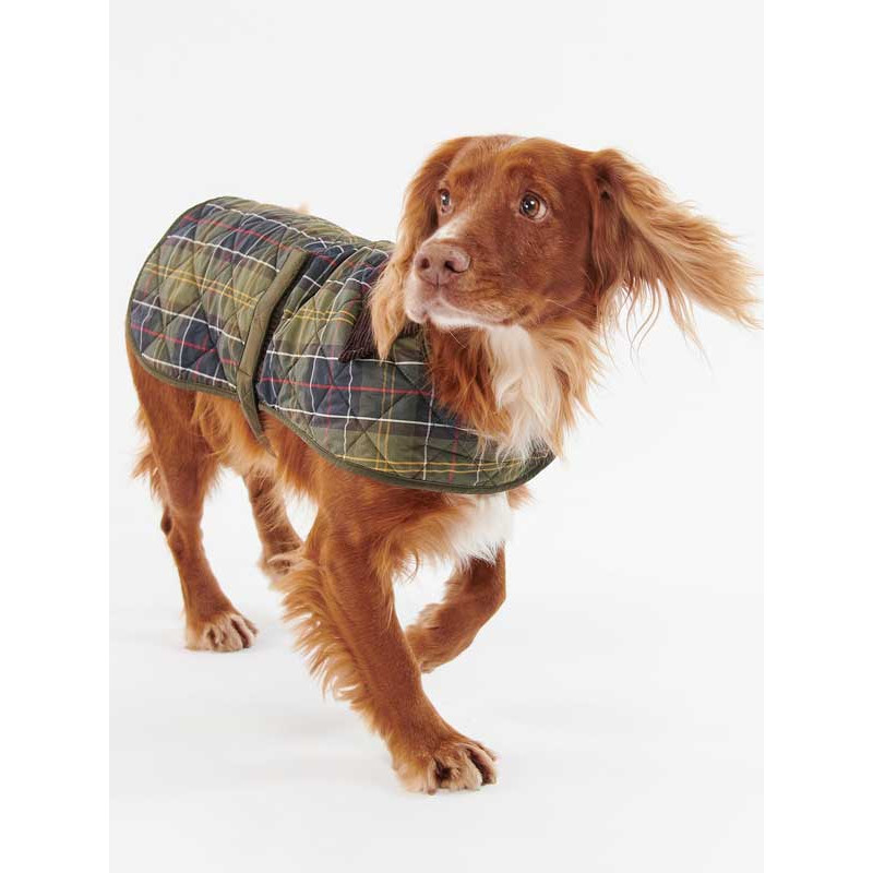 Manteau chien tartan Barbour