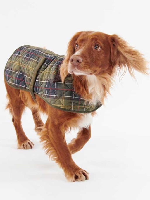 Manteau chien tartan Barbour