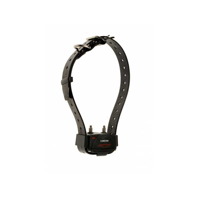 Pack dressage Canicom 800 2 chiens Num'axes