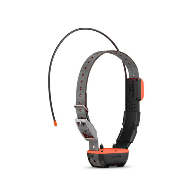 Collier de repérage et dressage TT25™ Garmin