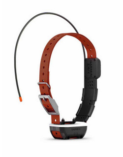 Collier de repérage et d'éducation canine TT25™ Garmin