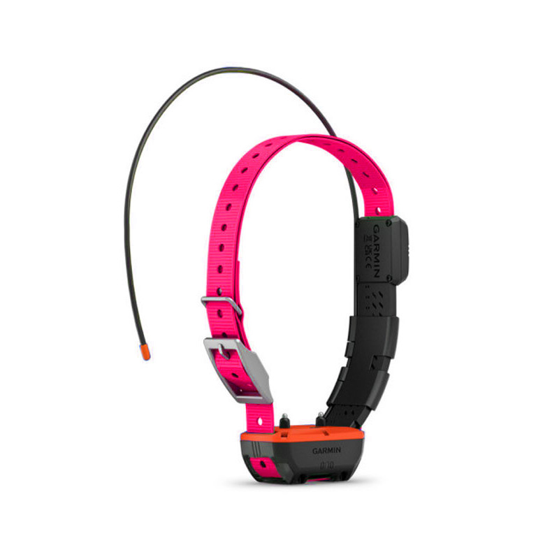 Collier de repérage et dressage TT25™ Garmin