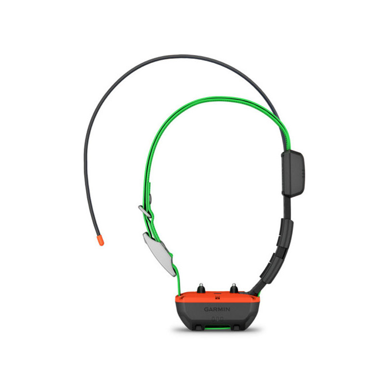 Collier de repérage et dressage TT25™ Garmin