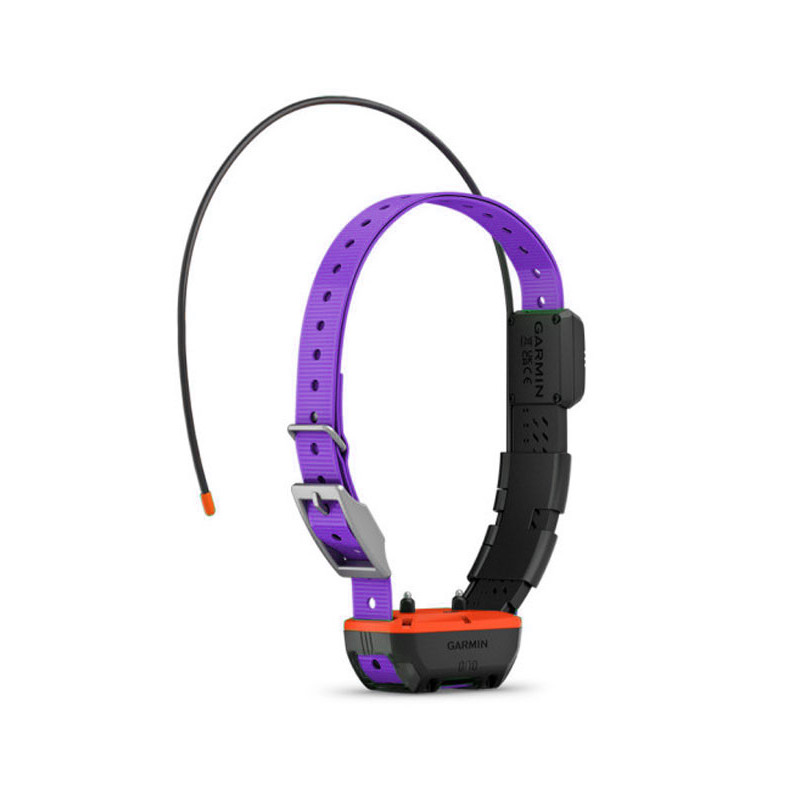 Collier de repérage et dressage TT25™ Garmin