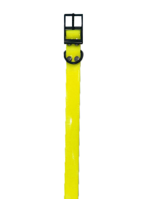 Collier Biothane Largeur 650x25x2.6mm Helen Baud Collier Biothane Largeur 650x25x2.6mm Helen Baud
