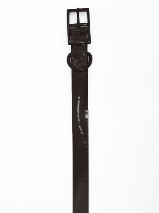 Collier Biothane Largeur 650x25x2.6mm Helen Baud Collier Biothane Largeur 650x25x2.6mm Helen Baud