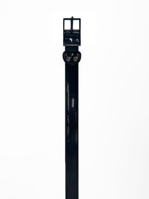 Collier Biothane Largeur 650x25x2.6mm Helen Baud Collier Biothane Largeur 650x25x2.6mm Helen Baud