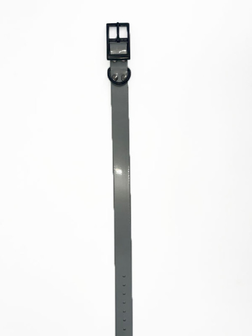 Collier Biothane Biogold Largeur 650x25x2.6mm Hélen Baud Collier Biothane Biogold Largeur 650x25x2.6mm Hélen Baud