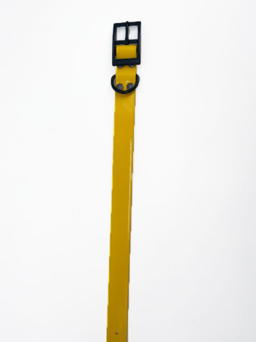 Collier Biothane Biogold Largeur 650x25x2.6mm Hélen Baud Collier Biothane Biogold Largeur 650x25x2.6mm Hélen Baud