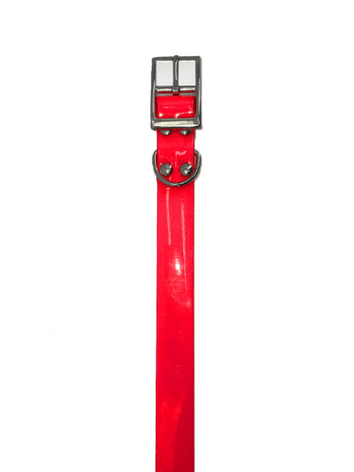 Collier polyuréthane Master+ 650x25x2.5mm Hélen Baud