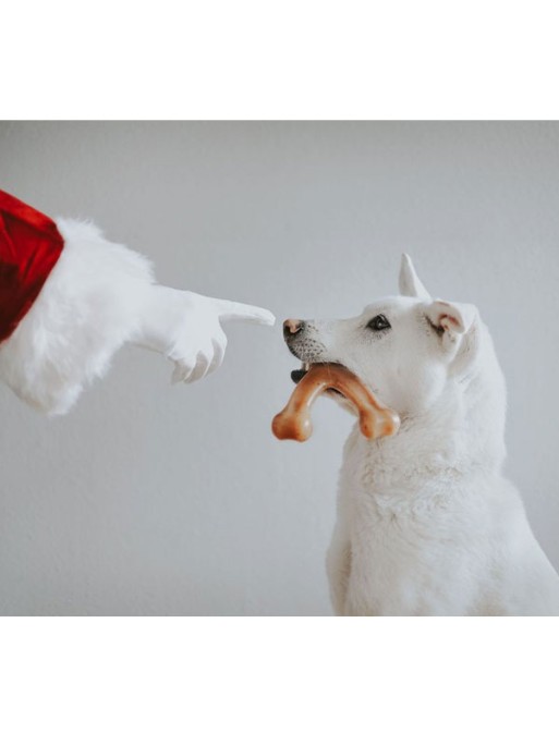 Jouet à mâcher Wishbone Benebone Jouet à mâcher Wishbone Benebone