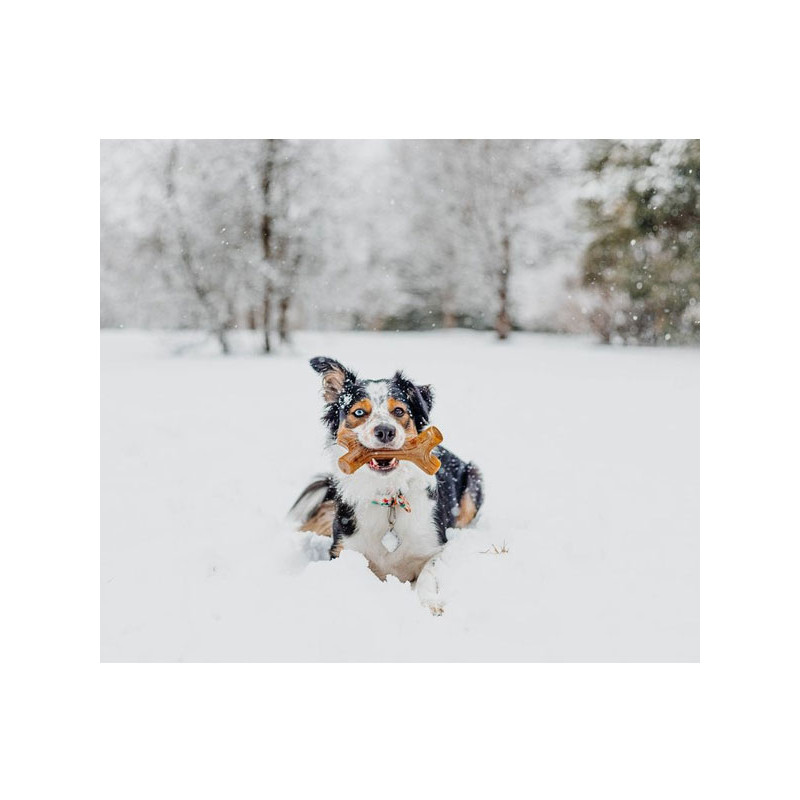 Jouet à Mâcher En Fibre Naturelle Pour Oiseaux - Pour Perroquets, Cacatoès, Perruches - Stimule Et Entretient Le Bec
