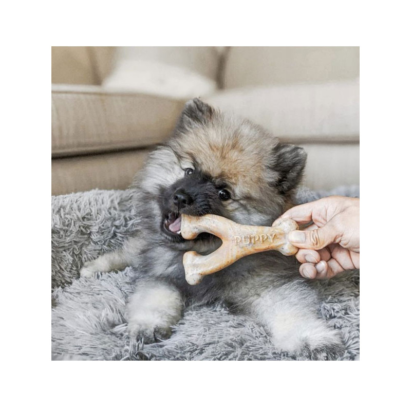 Jouets à mâcher Wishbone chiot Benebone