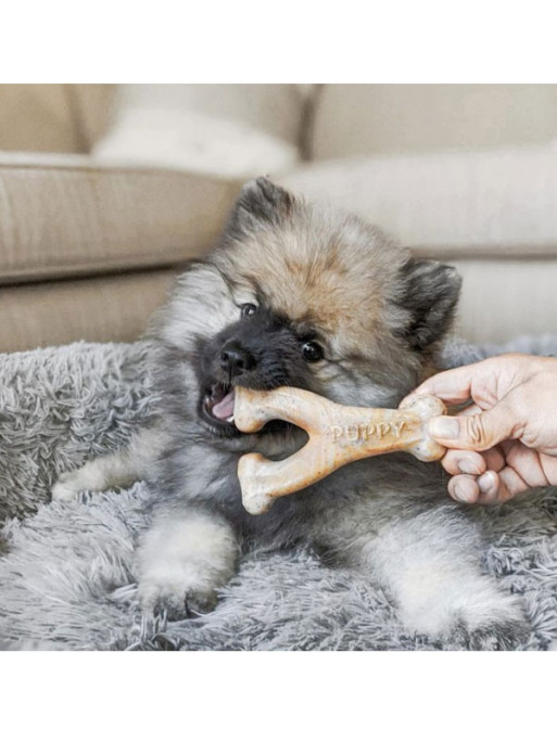 Jouets à mâcher Wishbone chiot Benebone