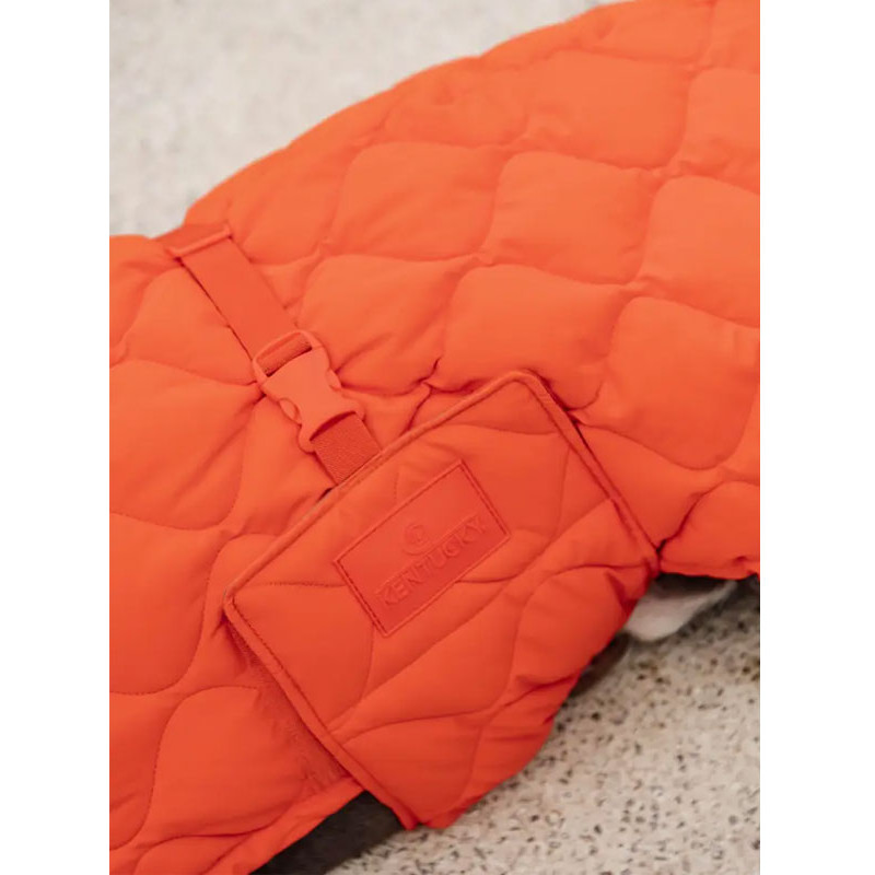 Manteau d'hiver pour chien Pina Kentucky